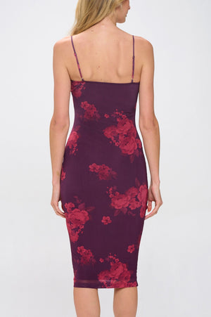 Dolce Dress