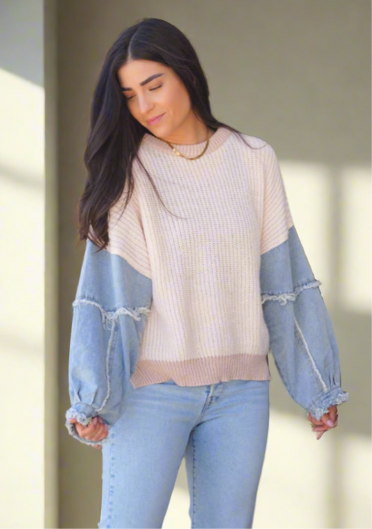 Daisy Denim Sleeve Sweater- Shop Teach