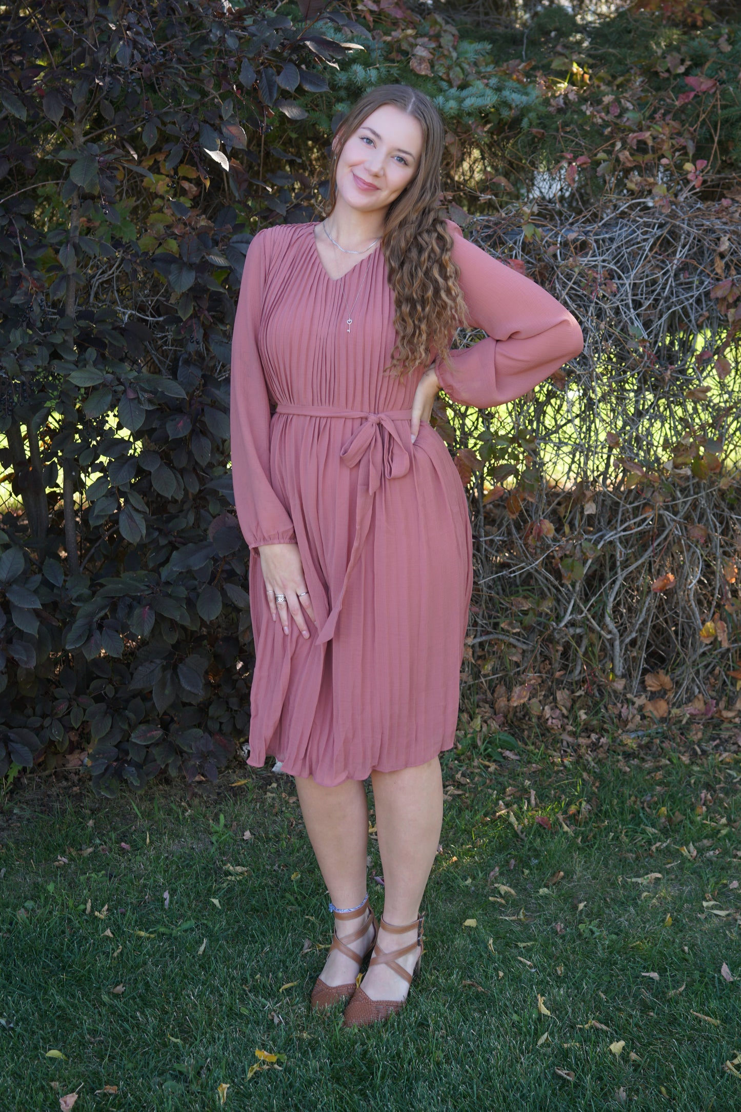 Charlotte Dress- She & Sky