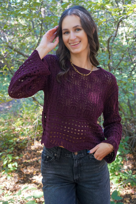 Sterling Crochet Sweater-Dex