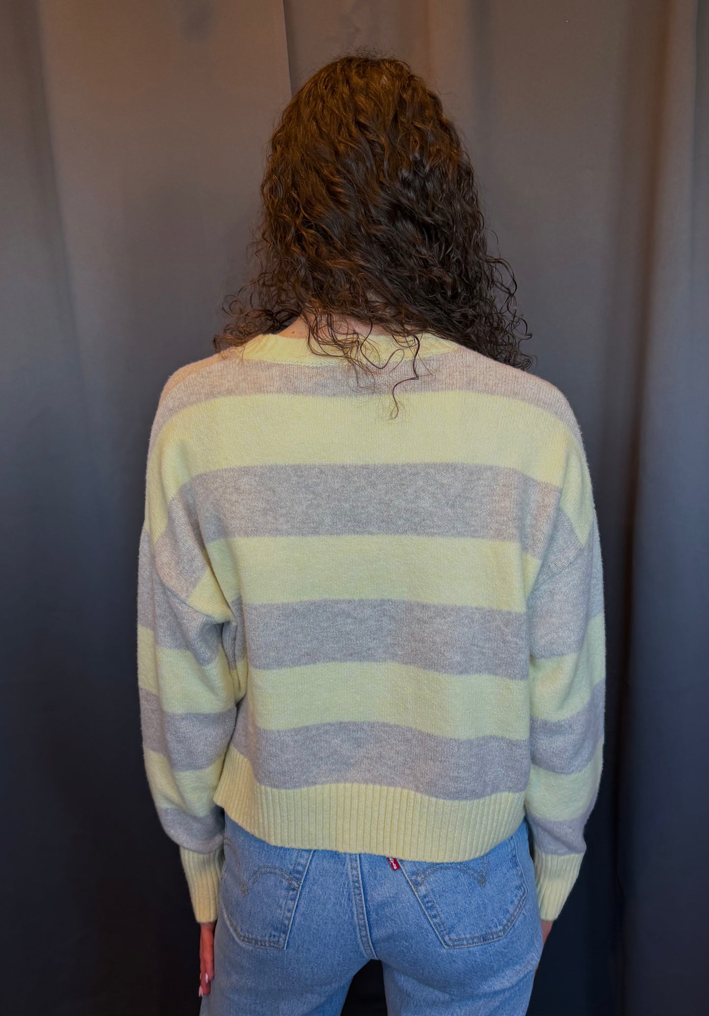 Cirrus Stripe Sweater- Z Supply